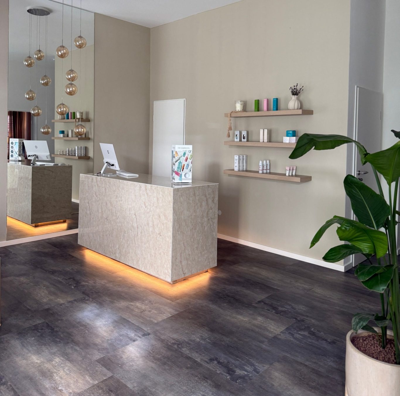 Ein heller Empfangsbereich mit modernem Tresen, Pflanzen und dekorativen Regalen.